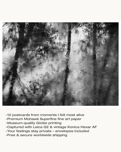 Tender Moments Postcards